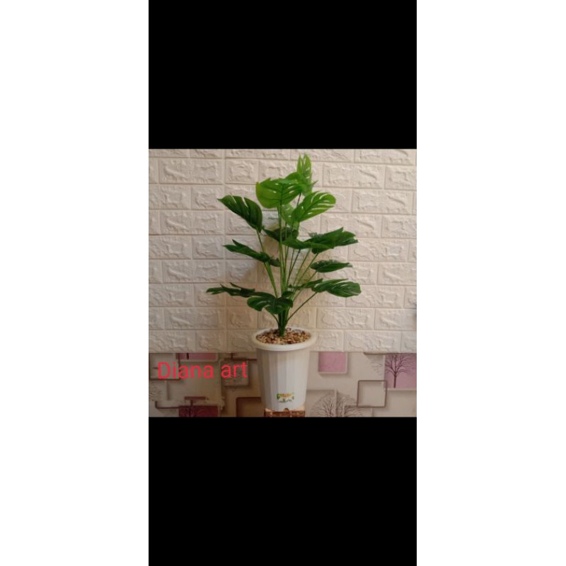 monstera latex#daun monstera#tanaman monstera#pohon monstera plastik