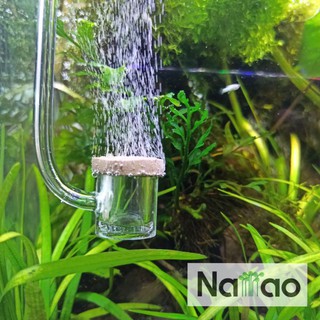 Harga Tabung Co2 Terbaik Perawatan Hewan Hobi Koleksi Januari 2021 Shopee Indonesia