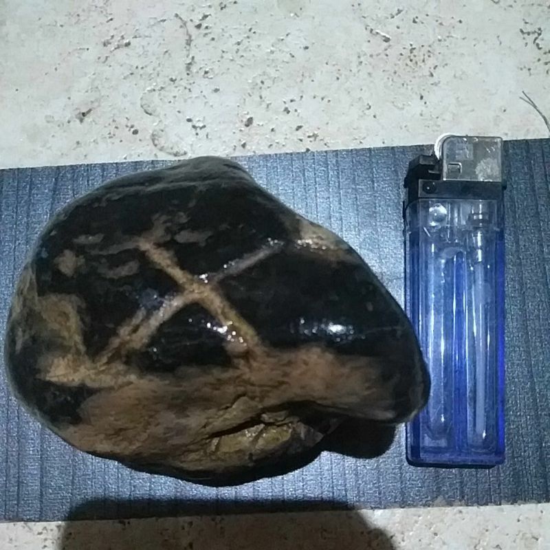 Mustika Tapak Jalak combong hitam wulung batu tua