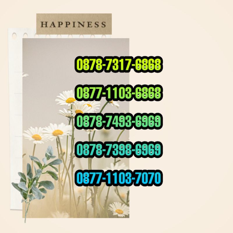 No cantik xl abab akhir