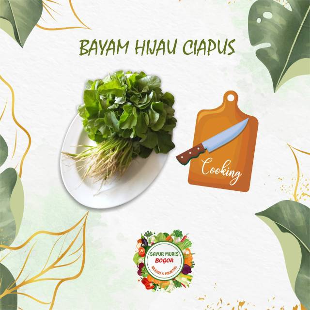 

BAYAM SEGAR CIAPUS / ikat