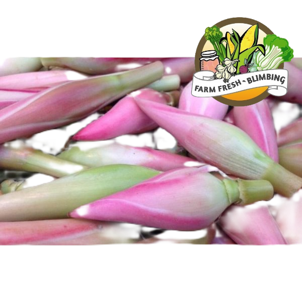 Bunga Kecombrang  200 - 250 Gr