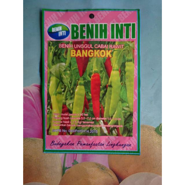 Benih Biji Cabe Rawit Putih BANGKOK 1gr (200bj)