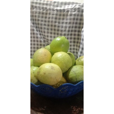 

jeruk lemon