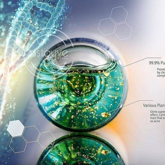 Stayve ac stem cell Gold