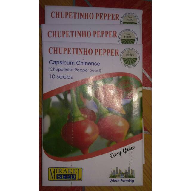 

CHUPETINHO PEPPER isi 10 biji