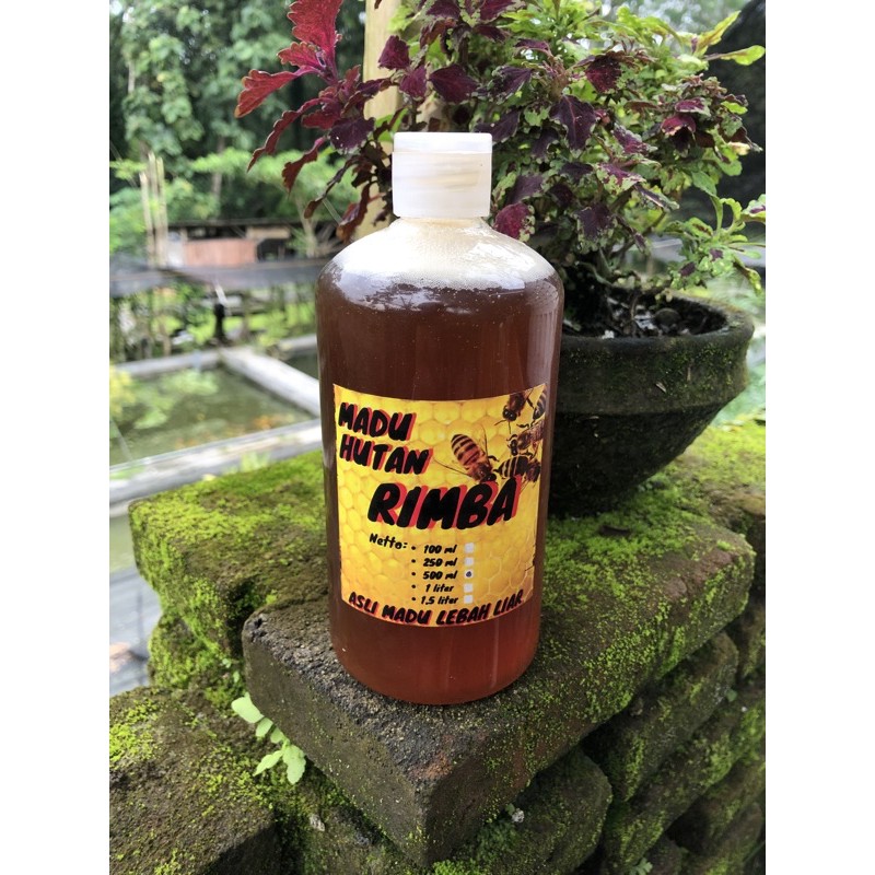 

MADU HUTAN LIAR ASLI MURNI 500ml
