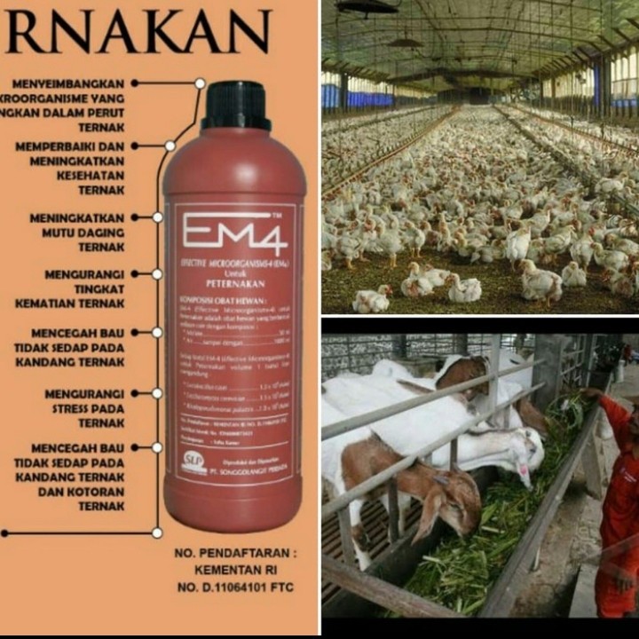 EM4 PETERNAKAN 1L