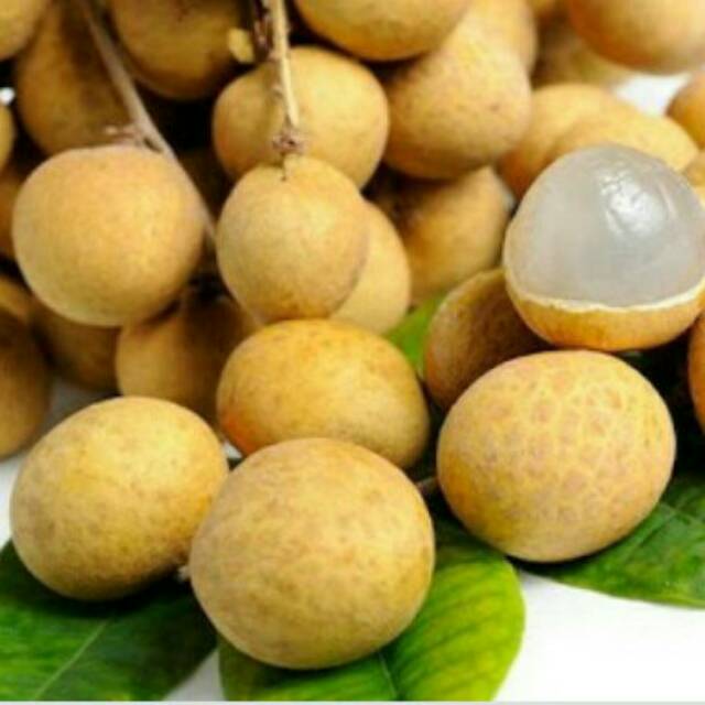 

Kelengkeng isi 1kg