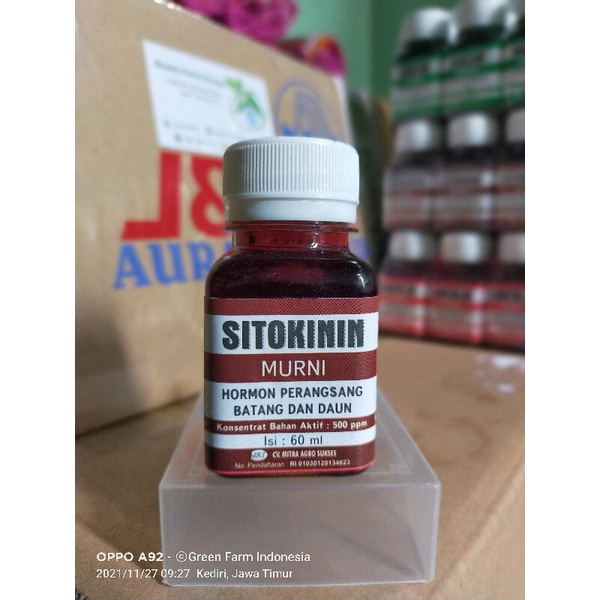 Sitokinin Hormon Perangsang Batang dan Daun Tanaman 60ml