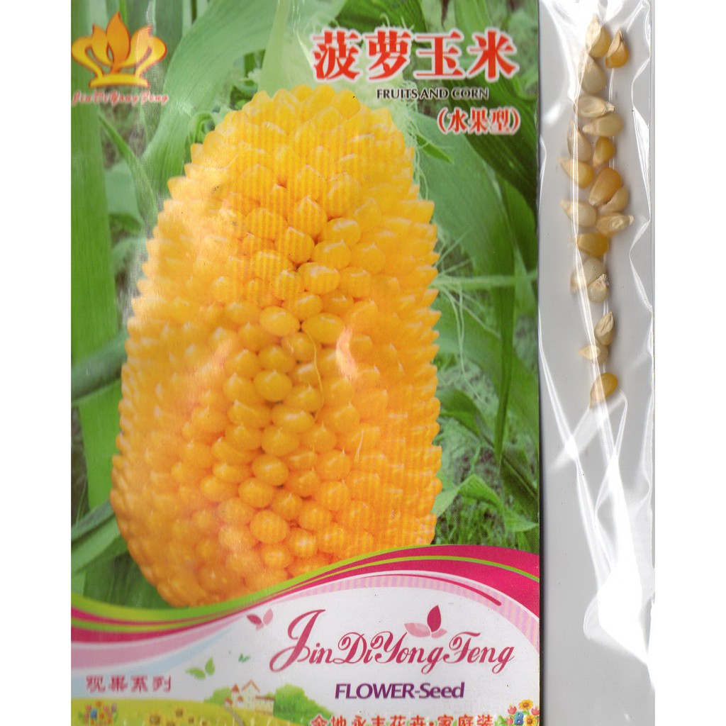 (20 biji) Bunga Fruit and Corn (B0120)