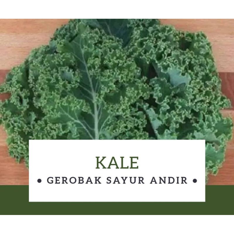 

Kale Curly / 250gr