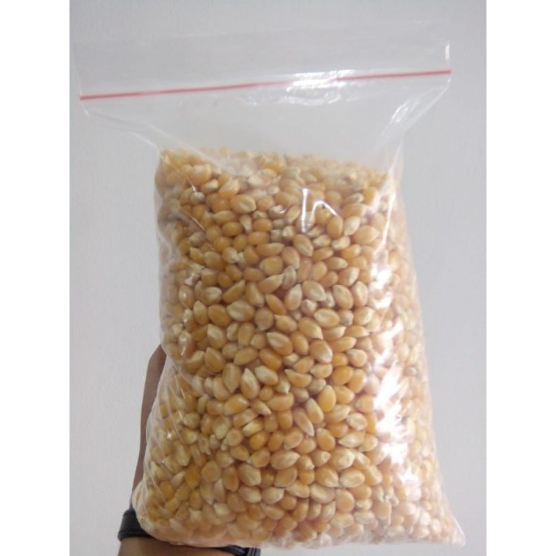 

Popcorn Biji Jagung 1kg Termurah