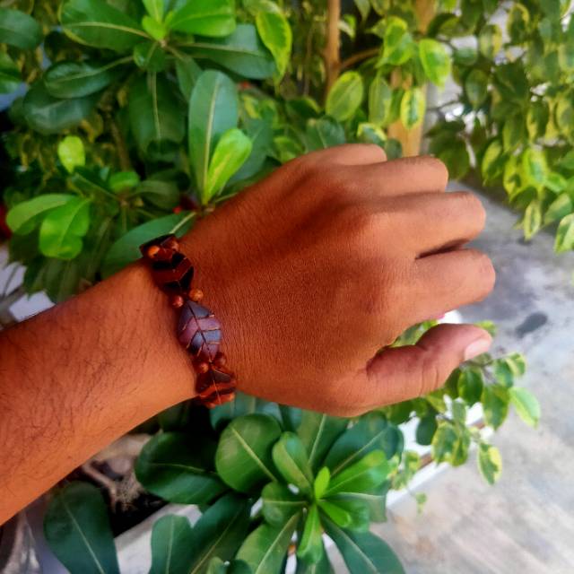 Gelang kaukah daun besar / gelang kaokah / gelang koka / gelang kokka / gelang kaoka / gelang kauka