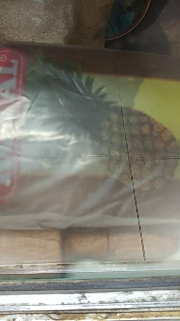 Royal Isian Nanas Kue Nastar 500grm