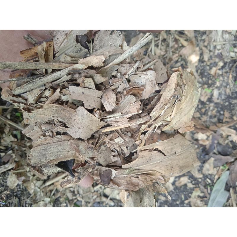 HUMUS BAMBU/MEDIA TANAM HUMUS BAMBU KERING 1 KG