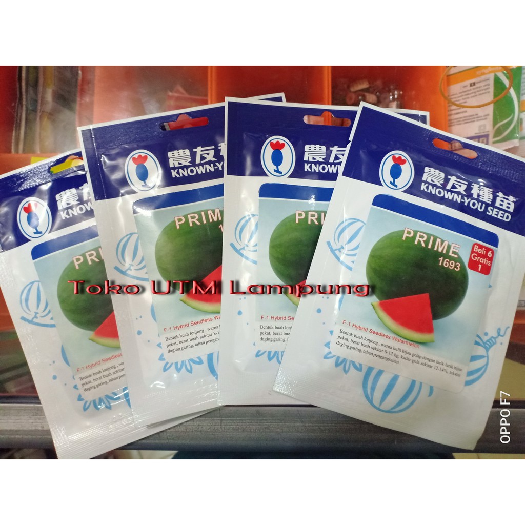BENIH / BIBIT SEMANGKA PRIME 1693 F1 300 SEED BELI 6 FREE 1