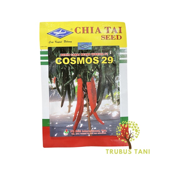 Benih cabe besar HIBRIDA F1 COSMOS 29
