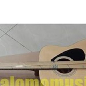 gitar yamaha f310
