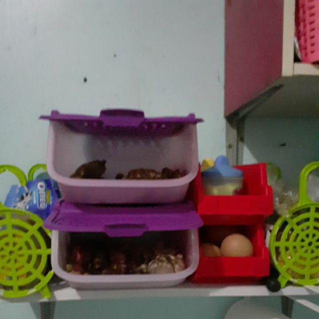 Access Mate Purple (1 Pcs) Tempat Bawang, Kentang Ungu Tupwr