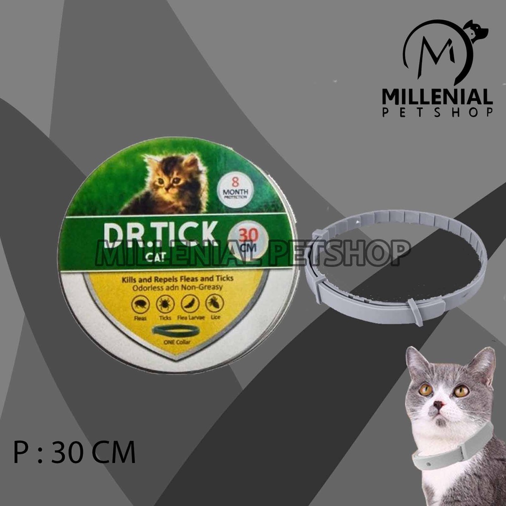 DR Tick Kalung Anti Kutu Kucing Cat Flea Tick Collar 30 Cm