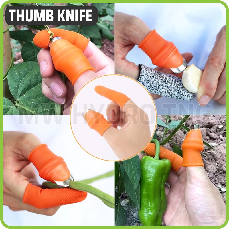 Thumb Knife Finger Glove for Harvesting Picking - Pisau Sarung Jempol