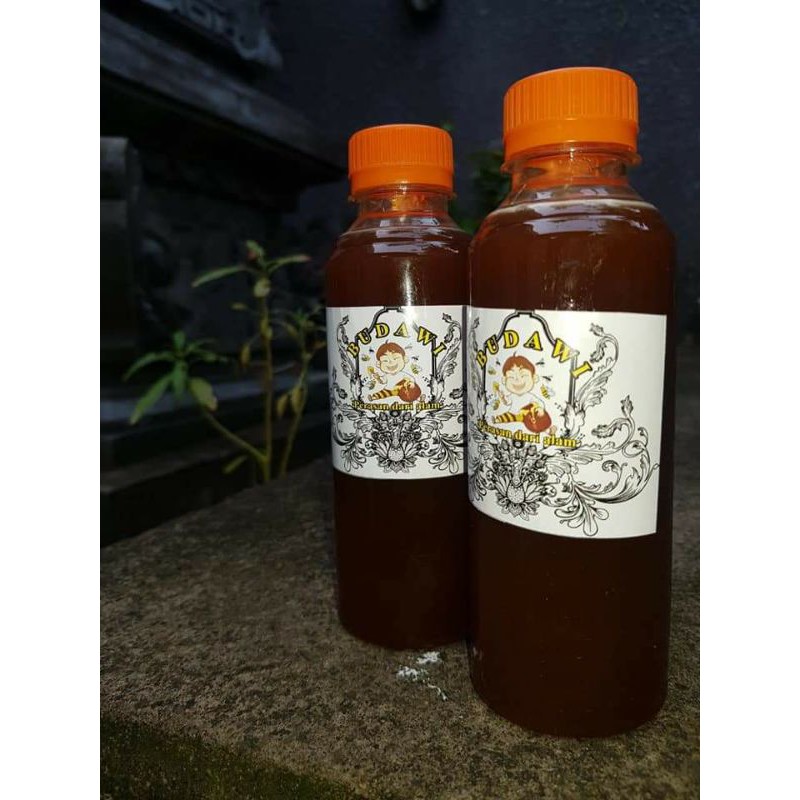 

MADU KELE / KELANCENG / KAKELE /MADU TRIGONA ASLI BALI VOLUME_100 ml