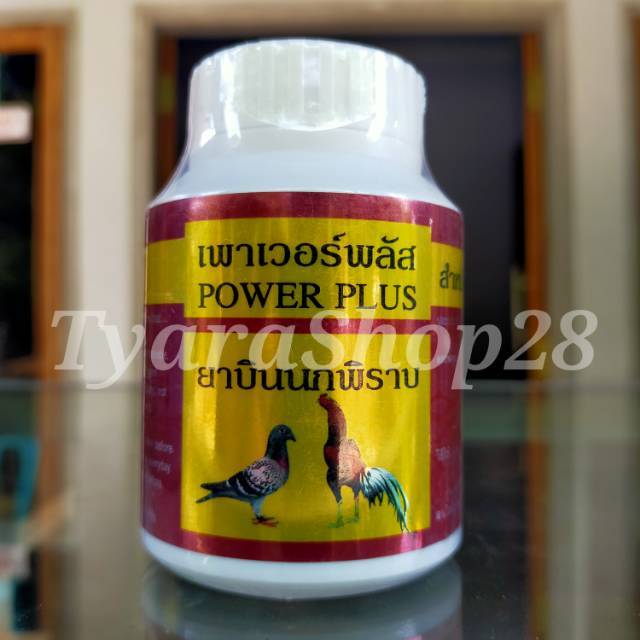 POWER PLUS merpati dan ayam