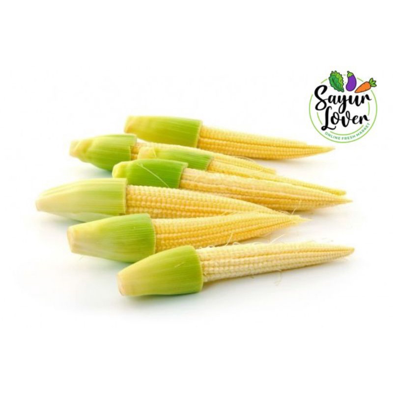 

Jagung Muda / Baby corn 250gr sayurlover