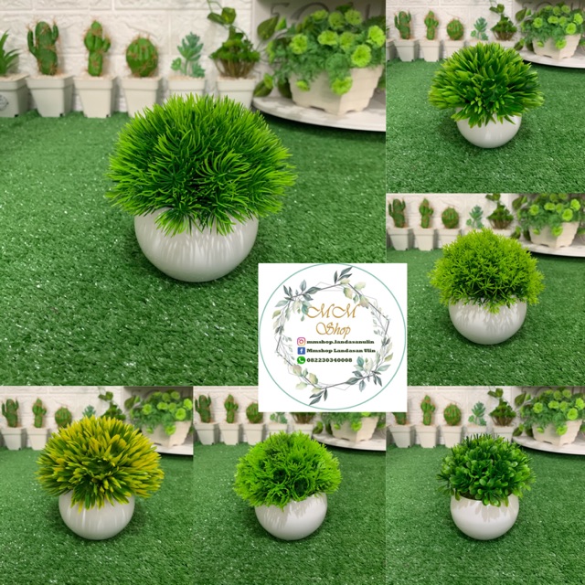TANAMAN BUNGA RUMPUT BONSAI HIAS POT DEKORASI RUMAH  DAN BUNGA PLASTIK PALSU IMITASI