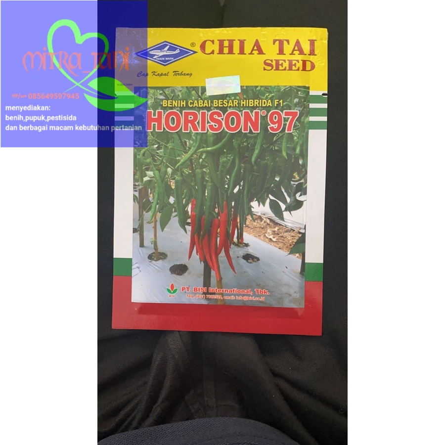 Benih Cabe Besar Hibrida HORISON 97 isi 10gr dari CAP KAPAL TERBANG