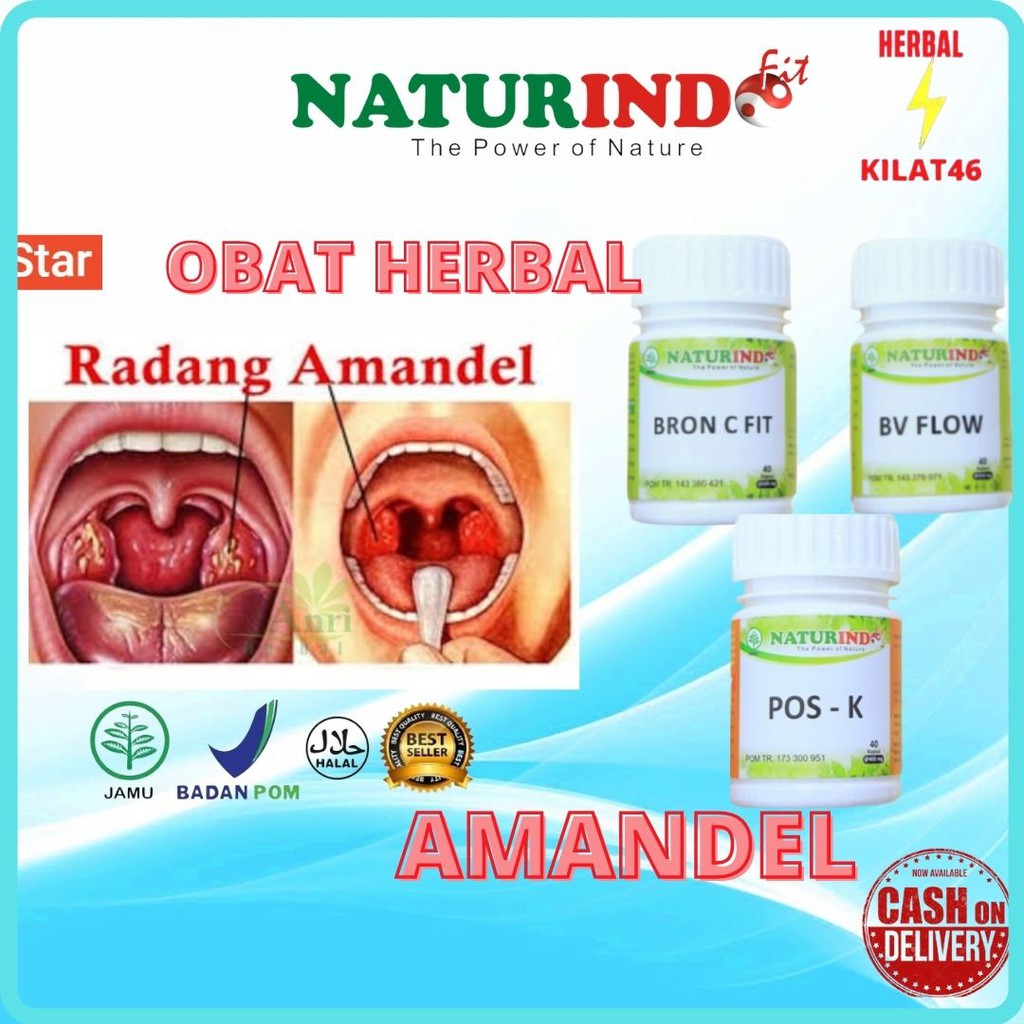 

OBAT HERBAL AMANDEL DAN SAKIT RADANG TENGGOROKAN AMAN ALLAMI TANPA EFEK SAMPING SOLUSINYA PAKET