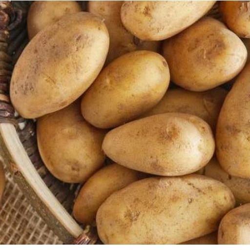 

KENTANG 1 KG / BUAH KENTANG SAYUR BERSIH