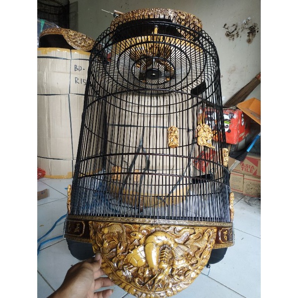 sangkar murai batu / kandang murai batu / sangkar murai / kandang murai / sangkar bulat / kandang bu