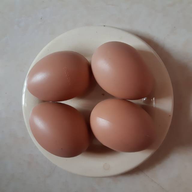 

Telur palsu telur mainan