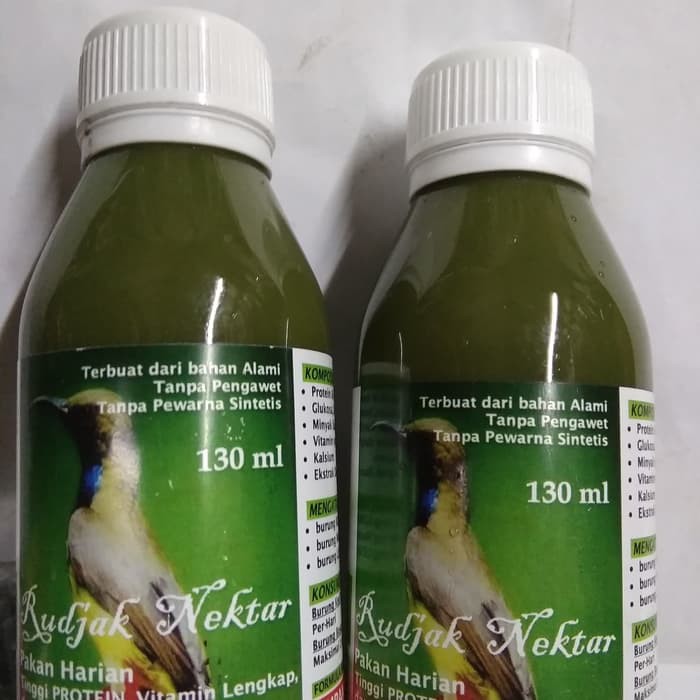 530 Koleksi Gambar Burung Kolibri Gratis Terbaru