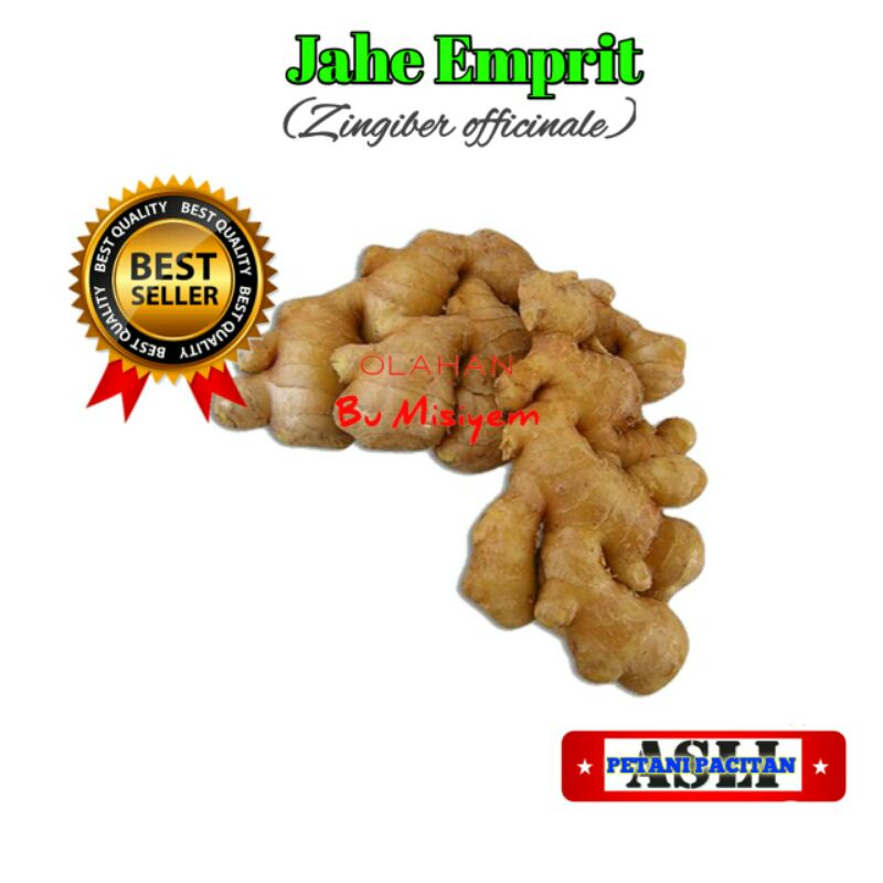 

Jahe Emprit Sudah dicuci bersih [bisa COD]