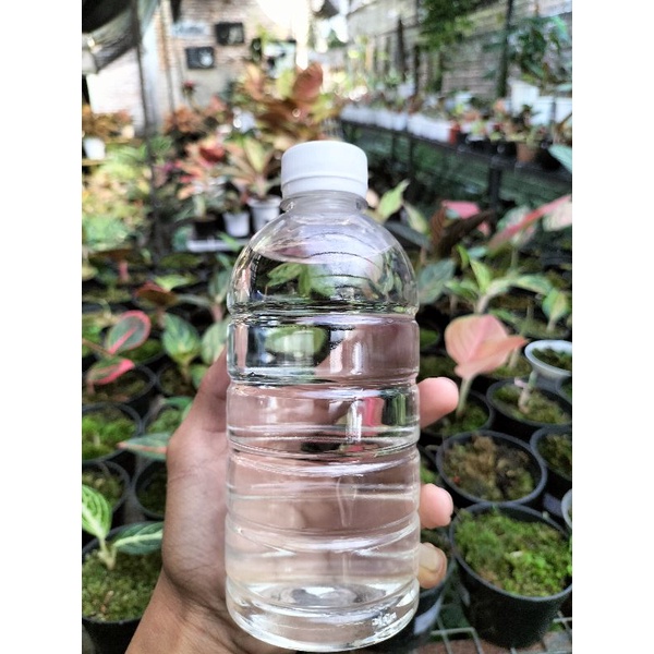 vitamin tanaman BIOZONE