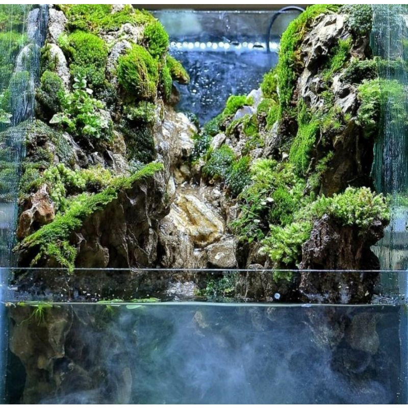 Aquarium Aquascape Paludarium Full Set Paket Lengkap