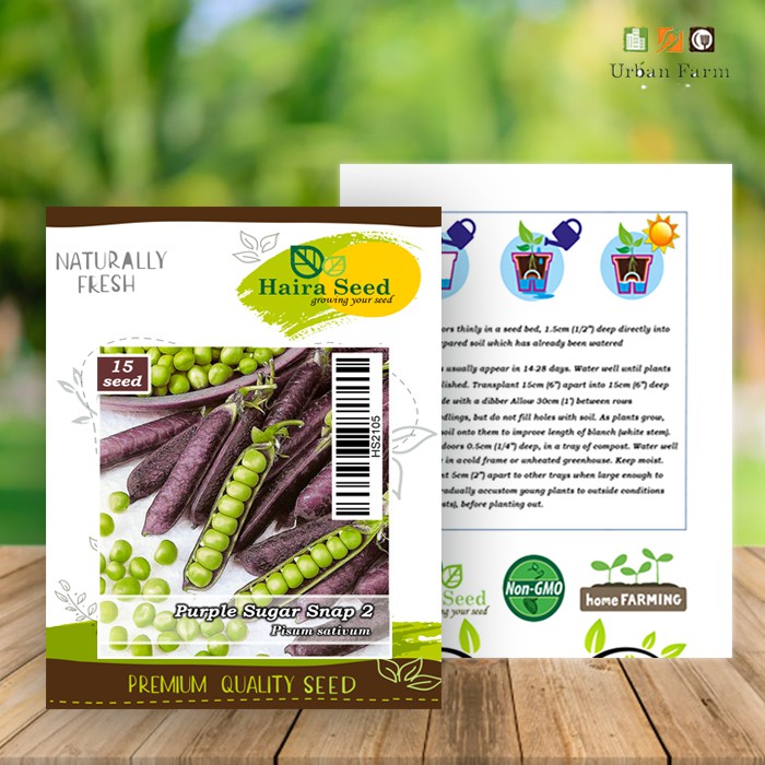 Benih-Bibit Kacang Kapri/Polong Sugar Snap 2 (Haira Seed)