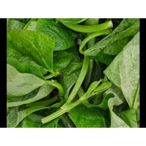 

Sayur Daun Kacang ( Daun Kacang Panjang) 100gr