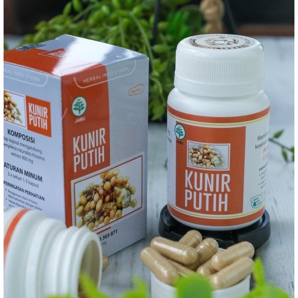 Jual Kapsul Kunir Putih Obat Diare Sakit Perut Gangguan Pencernaan Herbal Indo Utama Isi 60 Kaps 8940