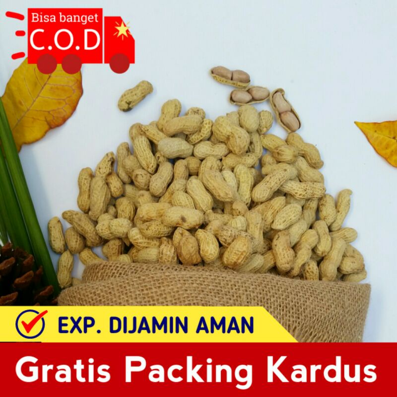 

[CINTAH SNACK] KACANG KULIT OVEN GURIH 250 GRAM / KACANG KULITAN ASIN