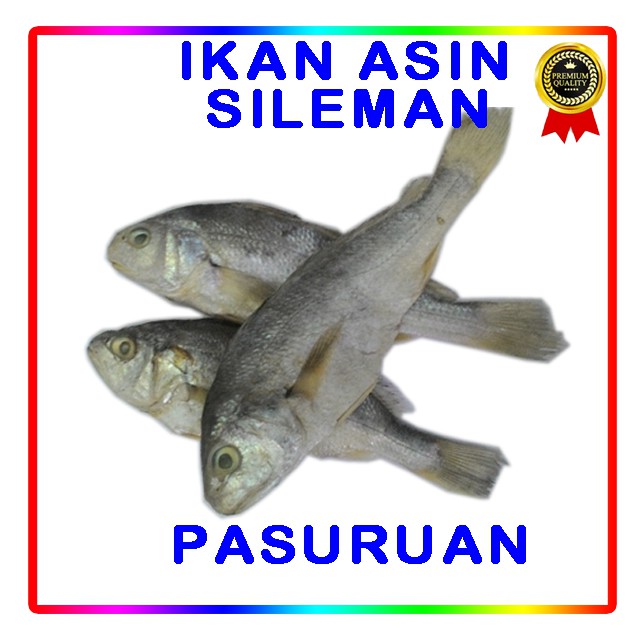 

ikan asin sileman khas pasuruan rasa asin gurih langsung di goreng untuk pauk tambah sambel 500 gr