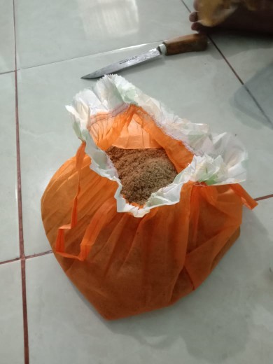 1kgtelur Jangkrik Alam