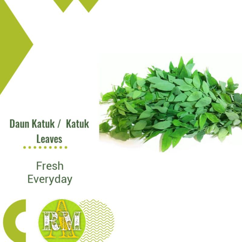 

DAUN KATUK / KATUK LEAVES 1 IKAT