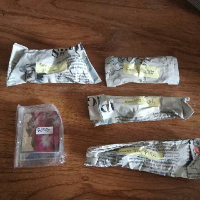 Paket Umbi Rain Lily Dan Sedap Malam