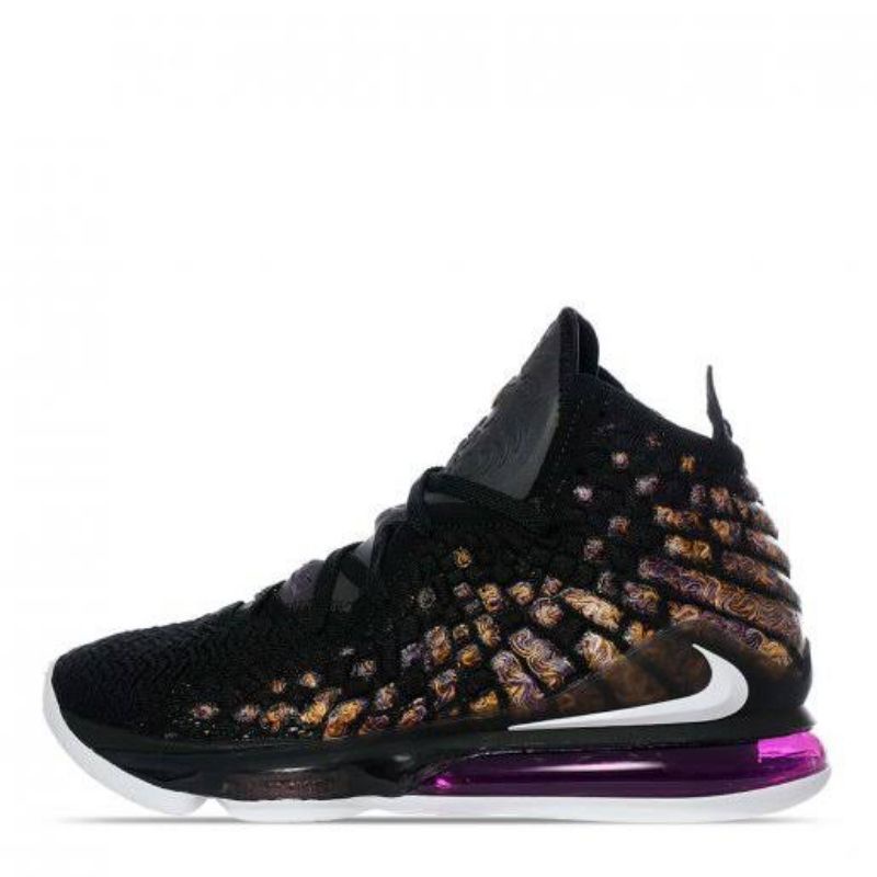 lebron lakers 17