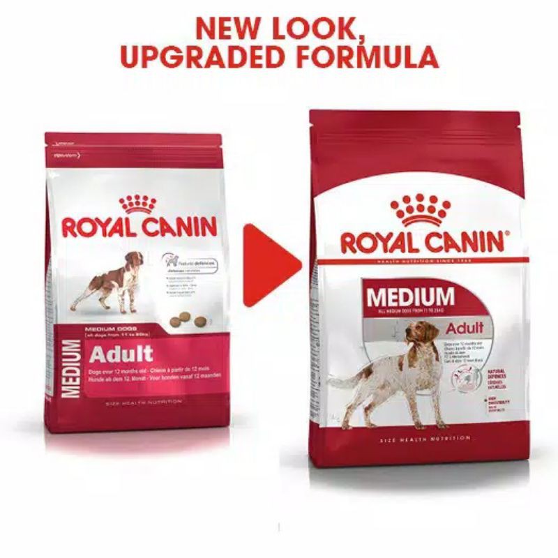 Royal Canin Medium Adult 10kg Makanan Anjing Medium Berat 11-25kg Dog Food Adult 1 sd 8 tahun