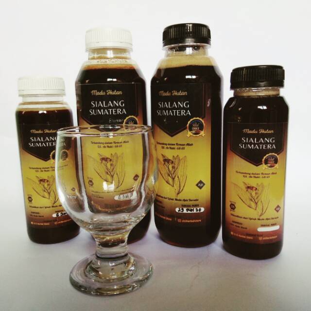 

Madu Hutan Sialang Sumatera